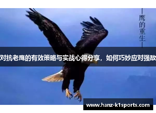 对抗老鹰的有效策略与实战心得分享，如何巧妙应对强敌